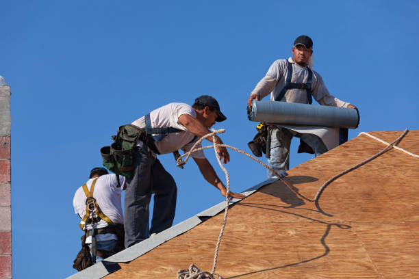 Best Local Roofing Companies  in Scotts Valley, CA